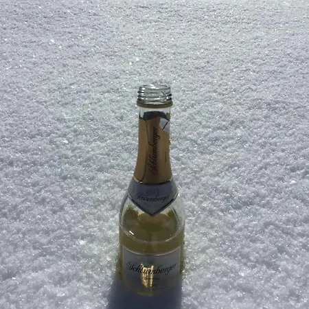 Alpinappartements Stoeckl * Partenen